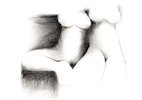 Photo de l'oeuvre 961 -  Deux nus